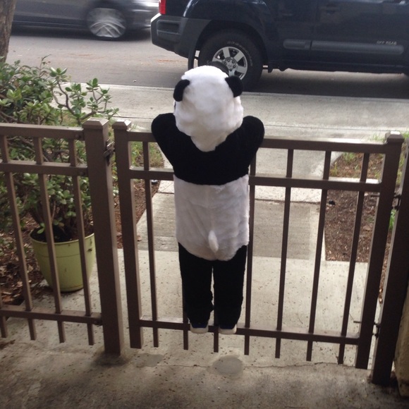 Meet me! - Picture 7 of 8